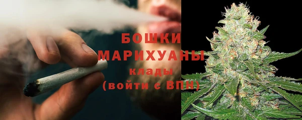 МДПВ Вяземский
