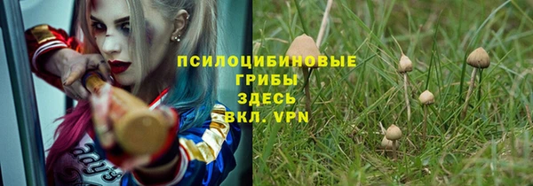 прущая мука Волоколамск